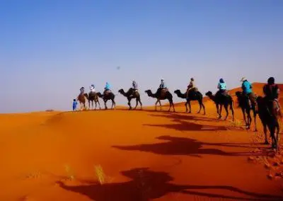 line of camel back riders riding through the desert in the sun
