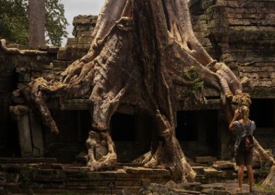Angkor Wat tree roots