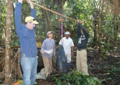 Hanging traps from Volunteer in Brazil