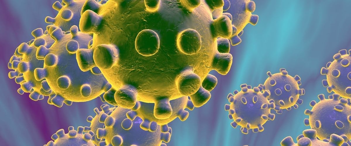 Corona Virus Updates | Kaya Responsible Travel