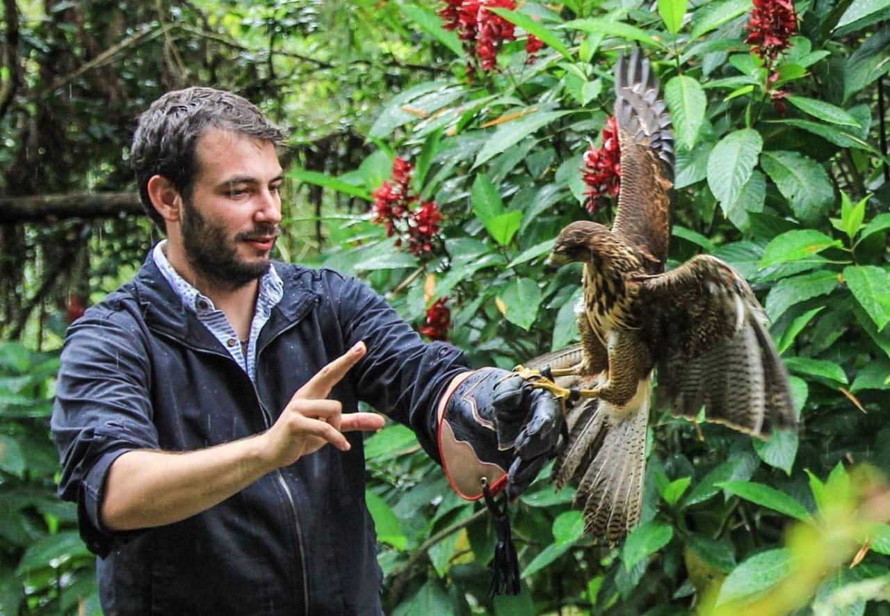 Online Amazon Wildlife Conservation Course | Kaya Responsible Travel