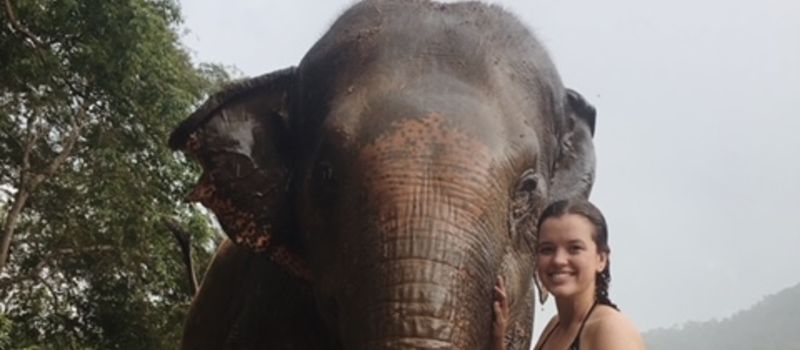 Volunteer with elephant