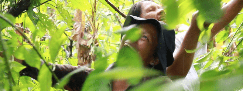 Travel in 2021 - Agroforestry Travel in 2021 - Agroforestry