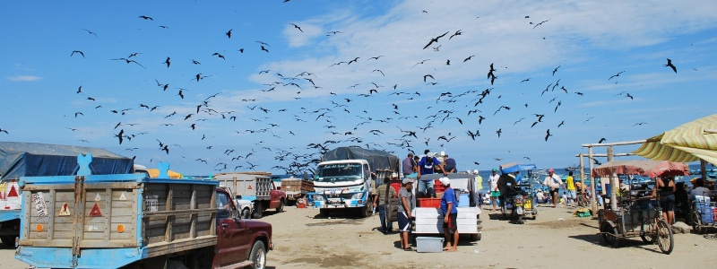 Travel in 2021 - Puerto Lopez Travel in 2021 - Puerto Lopez