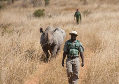 Anti-poaching initiatives