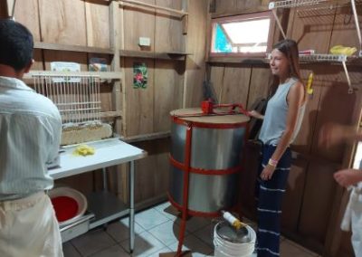 Honey farming