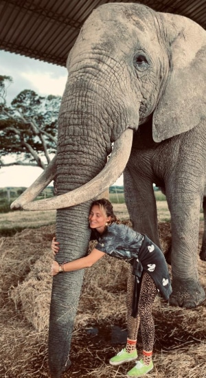 Responsible volunteering for wildlife abroad