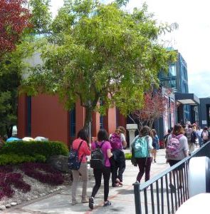 Ecuador University - Study and Intern