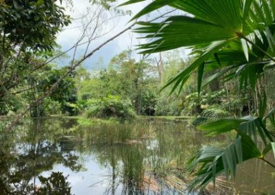 Environment and Lake