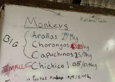 Feeding instructions for Monkey