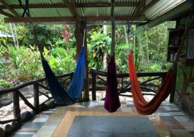 Hammocks at Rescue Center