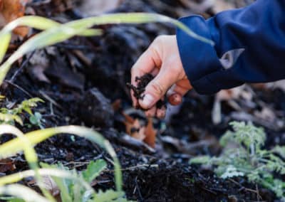 Hands in the Dirt