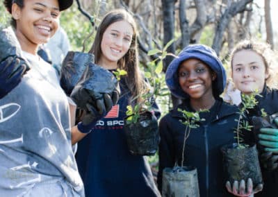 Planting Trees Together