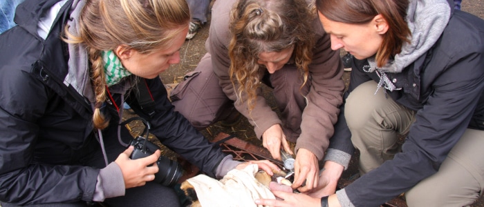 Learning to Be a Wildlife Conservationist Learning to Be a Wildlife Conservationist
