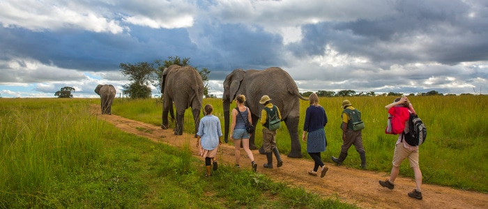 Working with People as a Wildlife Conservationist Working with People as a Wildlife Conservationist