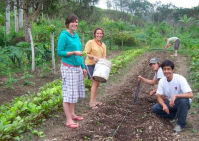 Working in the Field