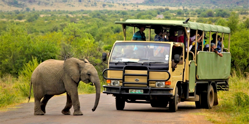 Winter Break Program in South Africa