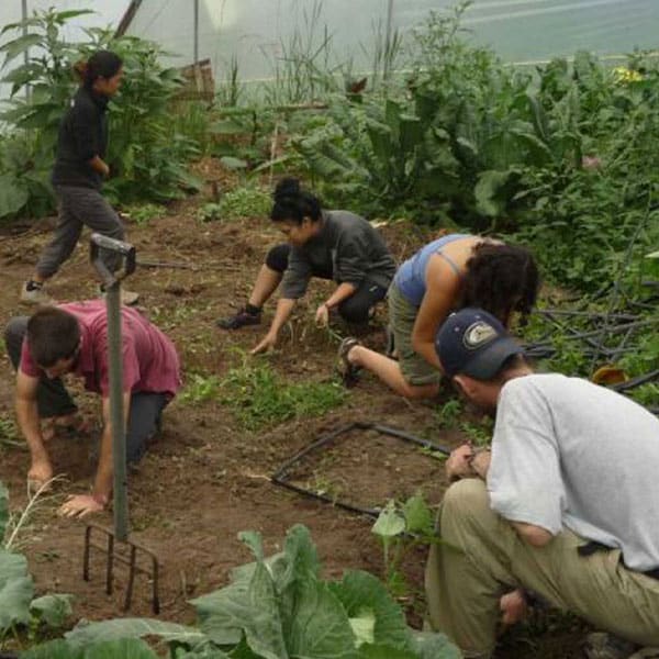 permaculture-new