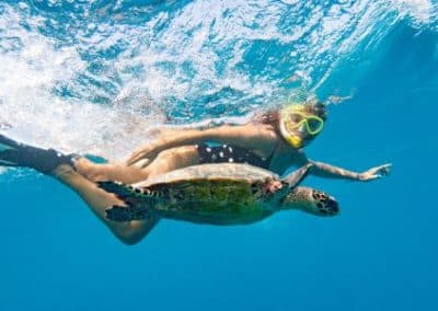 snorkeler swimming with a turtle