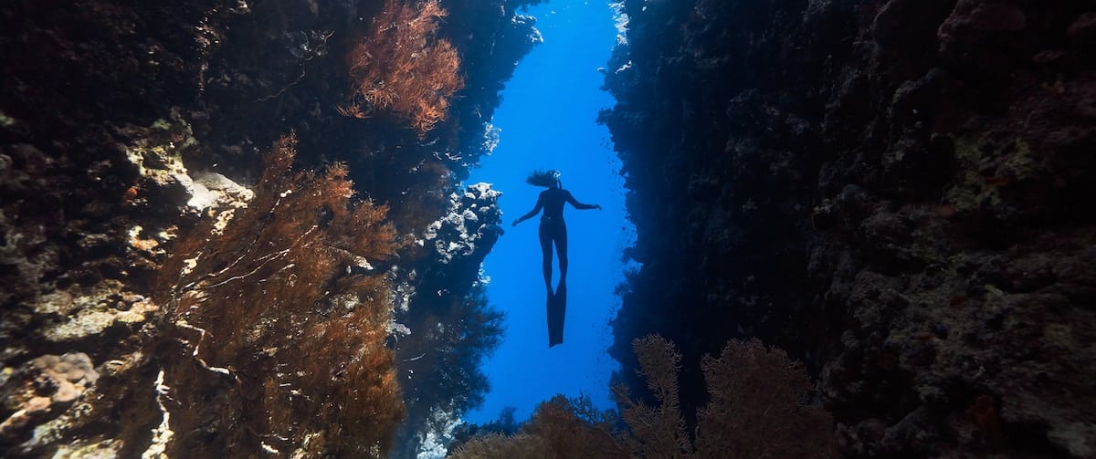 diver swimming in the middle of a coral reef 