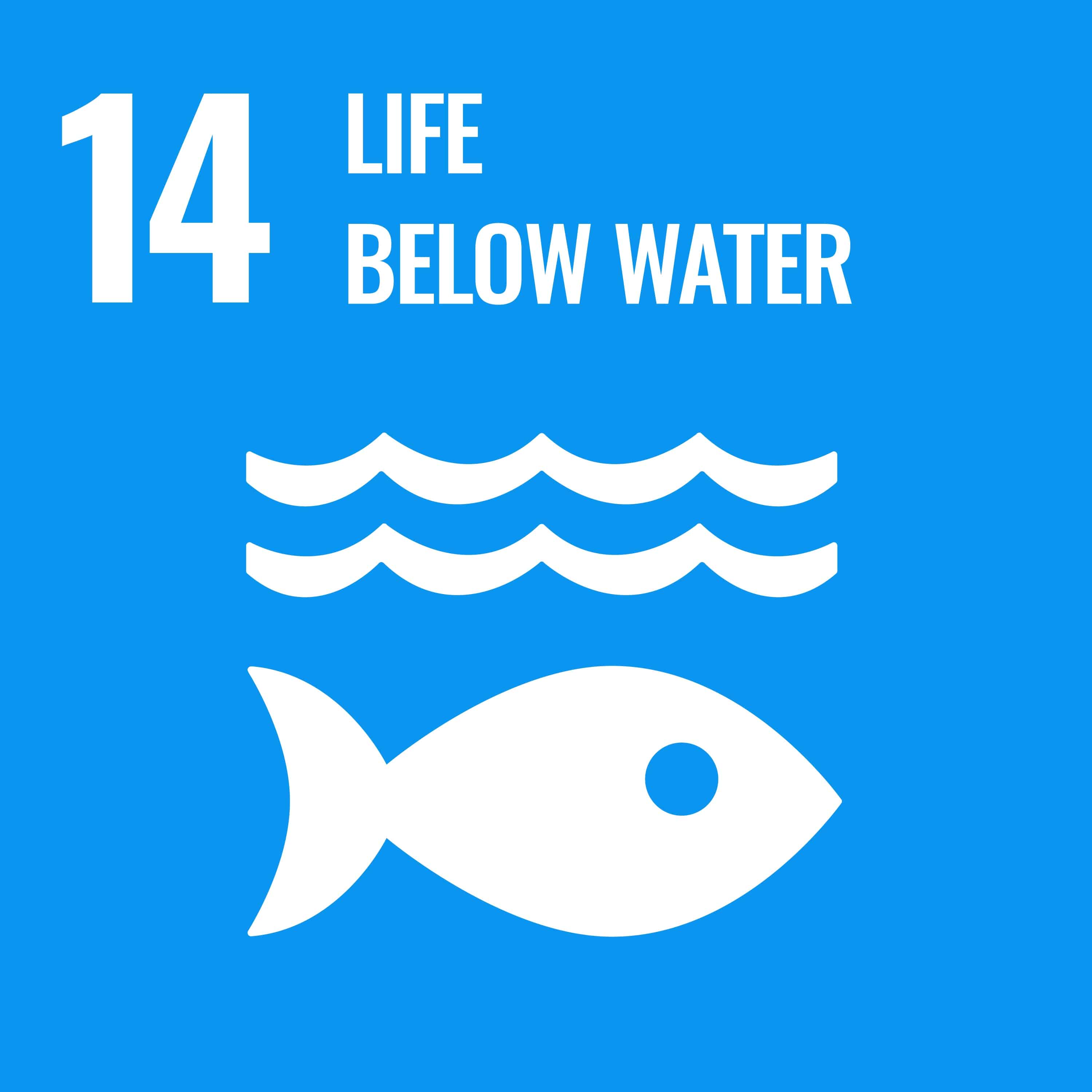 E_PRINT_14 goal 14 life below water