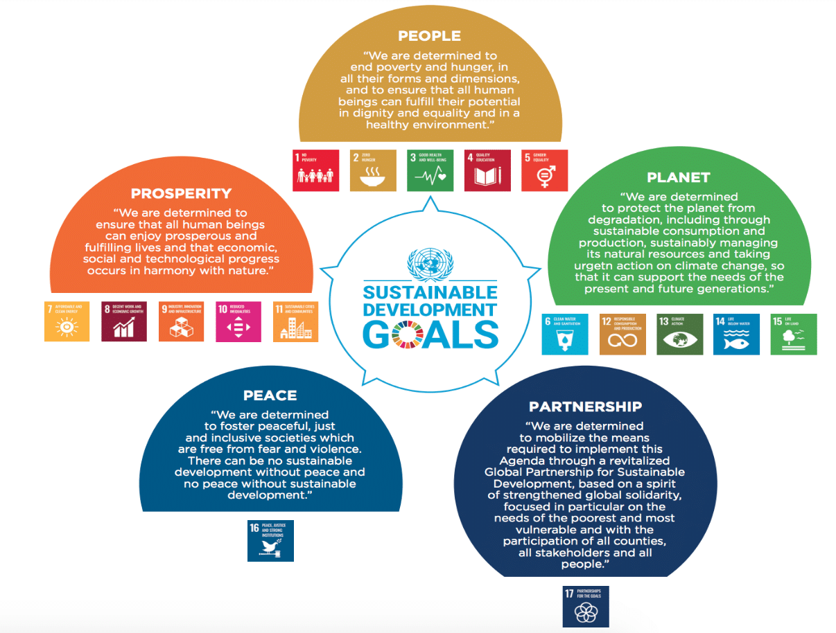 sustainable development goals 5 p's poster