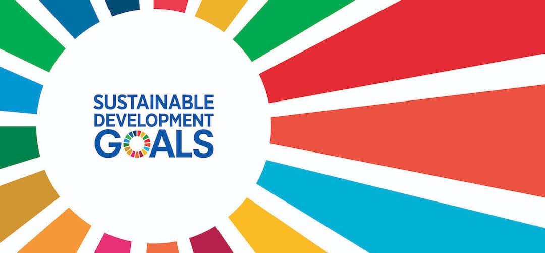 UN Sustainable Development Goals in International Education